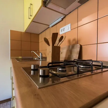 Hisa Natasa Tatil Evi Dreznica